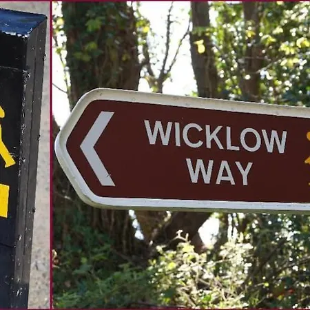 Bed & Breakfast House Shillelagh