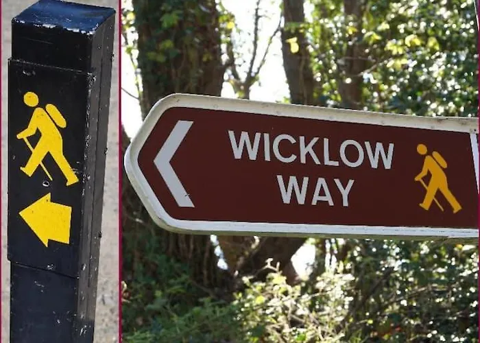 Panzió House Shillelagh